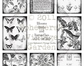 Blooms Birds and Butterflies ATC/ACEO (ATC11) - Black and White - Digital Collage Sheet