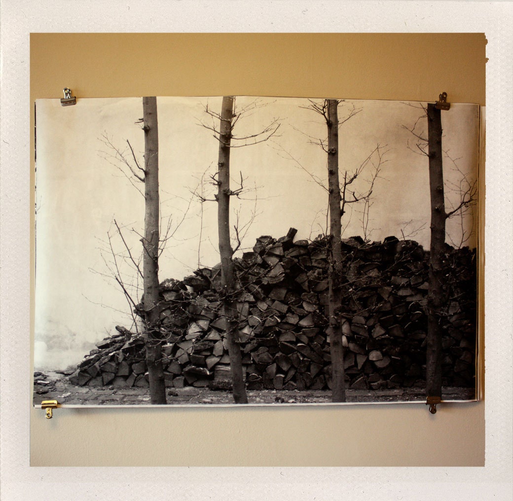 danish woods / large format halftone print / 24x36 black and white poster