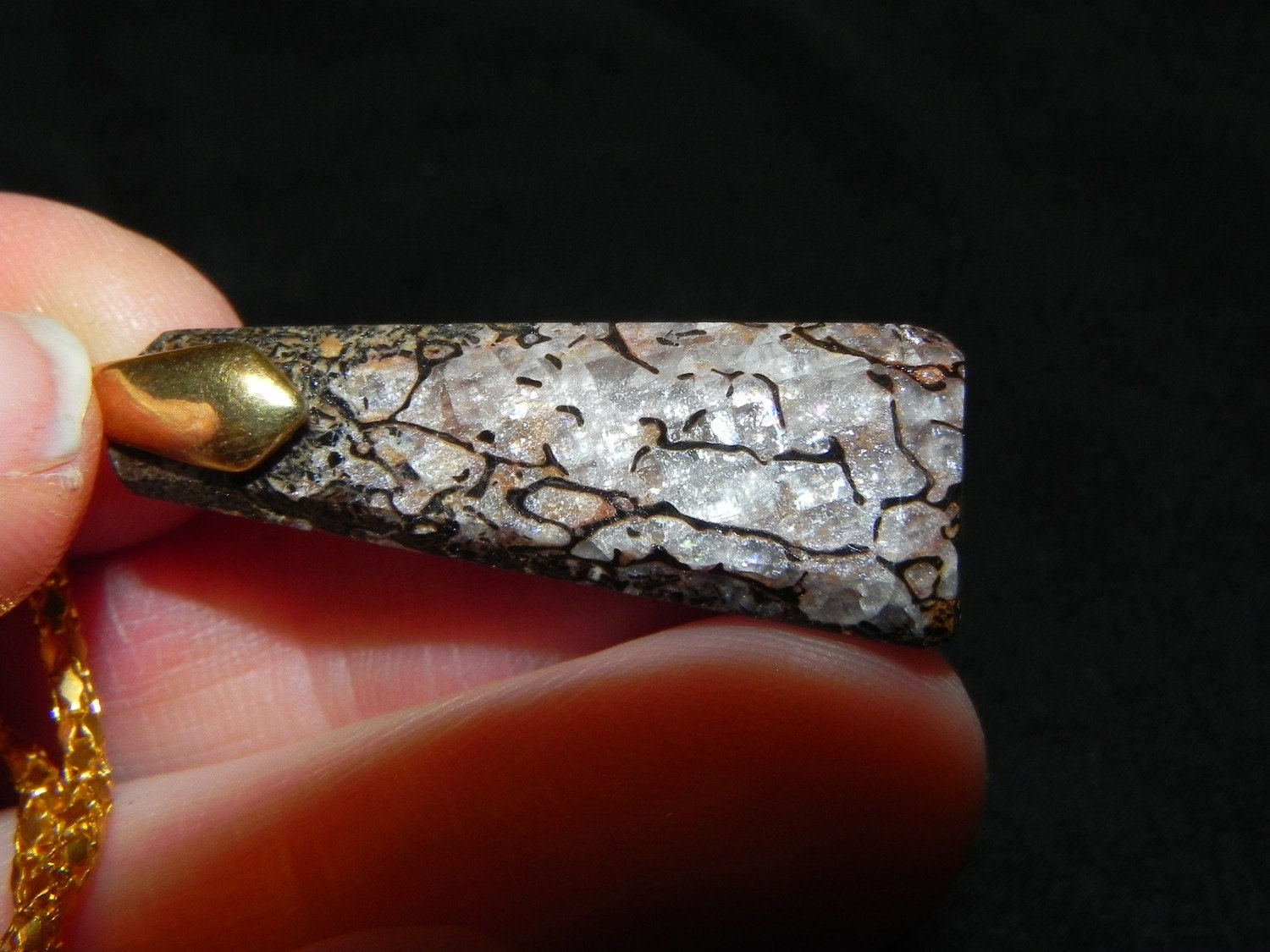 Rare Opalized Dinosaur Bone Necklace-SALE