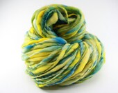 Free Seondary Ship Thick and Thin Yarn Slub tts Handspun Hand dyed Self Striping miniLR 17b