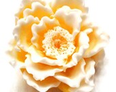 Sunshine Peony Soap - Wedding Favors - Decorative Gift Soap - Vegan Friendly