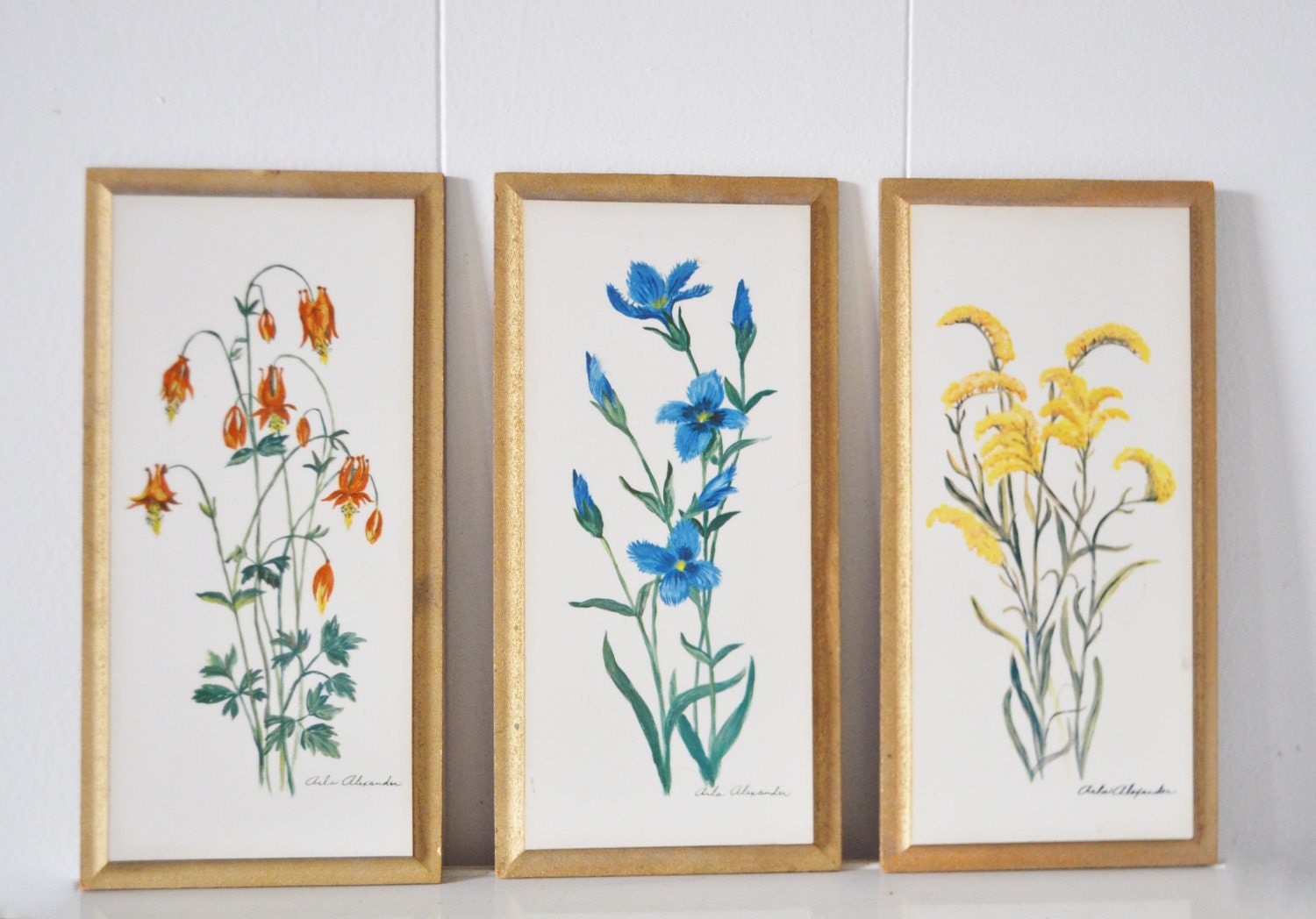 Wildflowers Wall Hangings