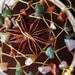 Custom Beaded Dream Catcher-Sacred Star Devils Claw Dream Catcher- you choose 3 stones