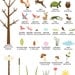 Tree Wall Stencils, Forest Wall Mural for Girls Room Mural, 29 LARGE Forest Wall Stencils