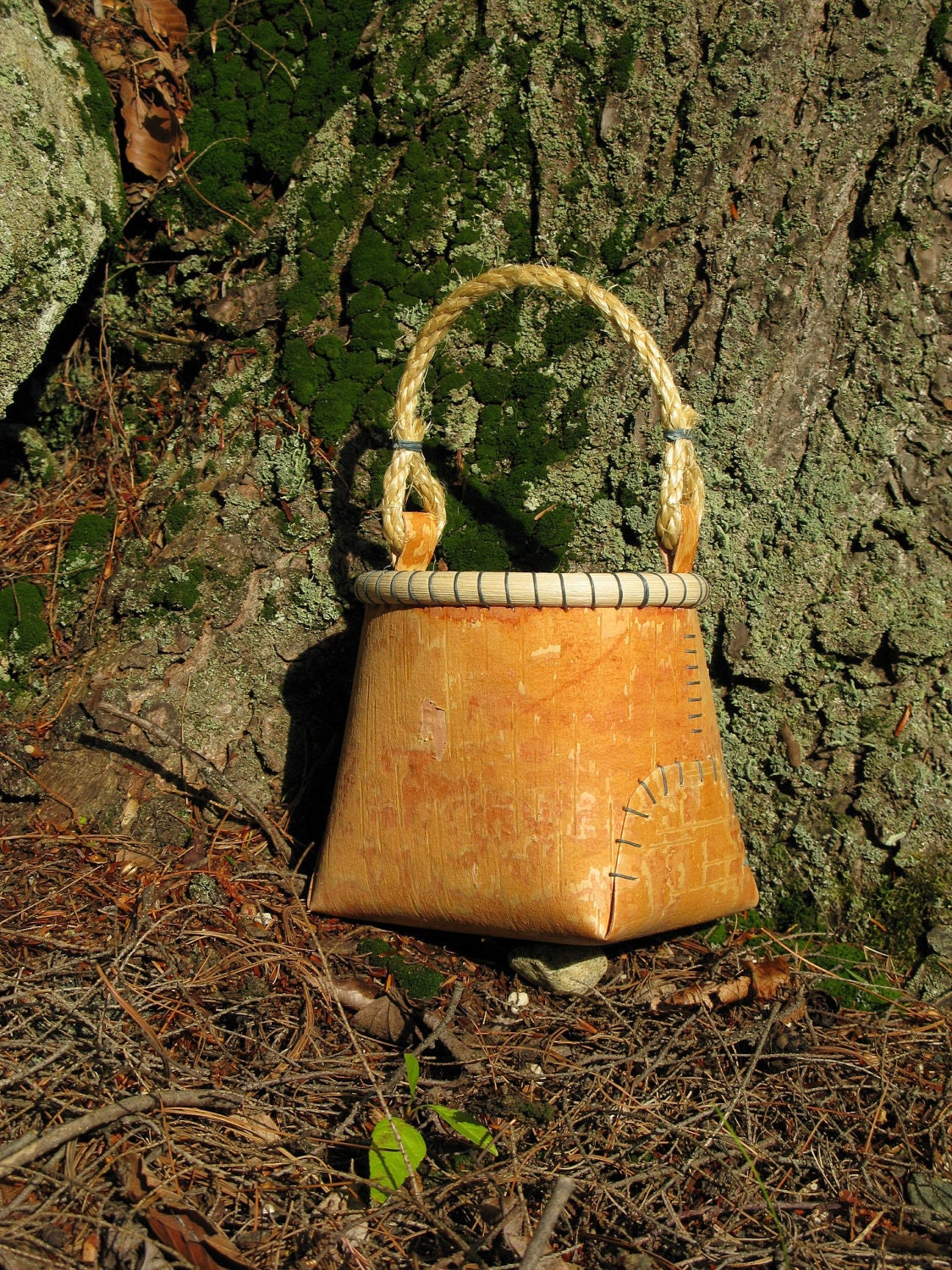 Birch Bark Berry Basket