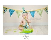 Baby Boy / Toddler or Girl Pennant Style Banner Photo shoot or Party Decor