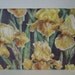 Makeup Eyeshadow Palette - Boboli Garden THE LAST ONE