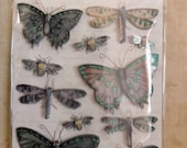 Tim Coffey Blossomwood Butterfly Stickers by K and Company-FREE SHIPPING