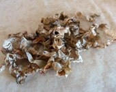 Seam Binding Ribbon Chocolate Brown Vintage Inspired Wrinkled Crinkled Country Shabby Chic-BOGO SALE