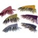 Catnip Toy - Stuffed Shrimp Peruvian Highland Wool Felted Cat Toy - Shrimp Creole