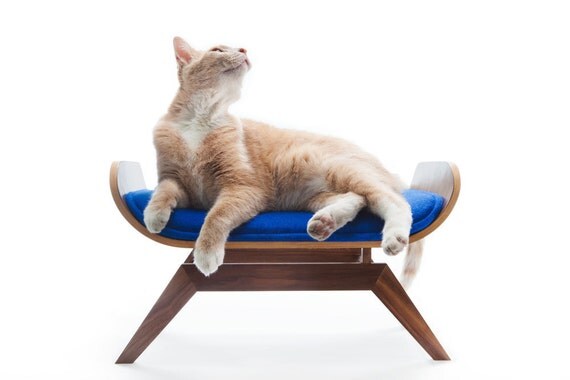 FLASH SALE The Canopy Lounge in Blue