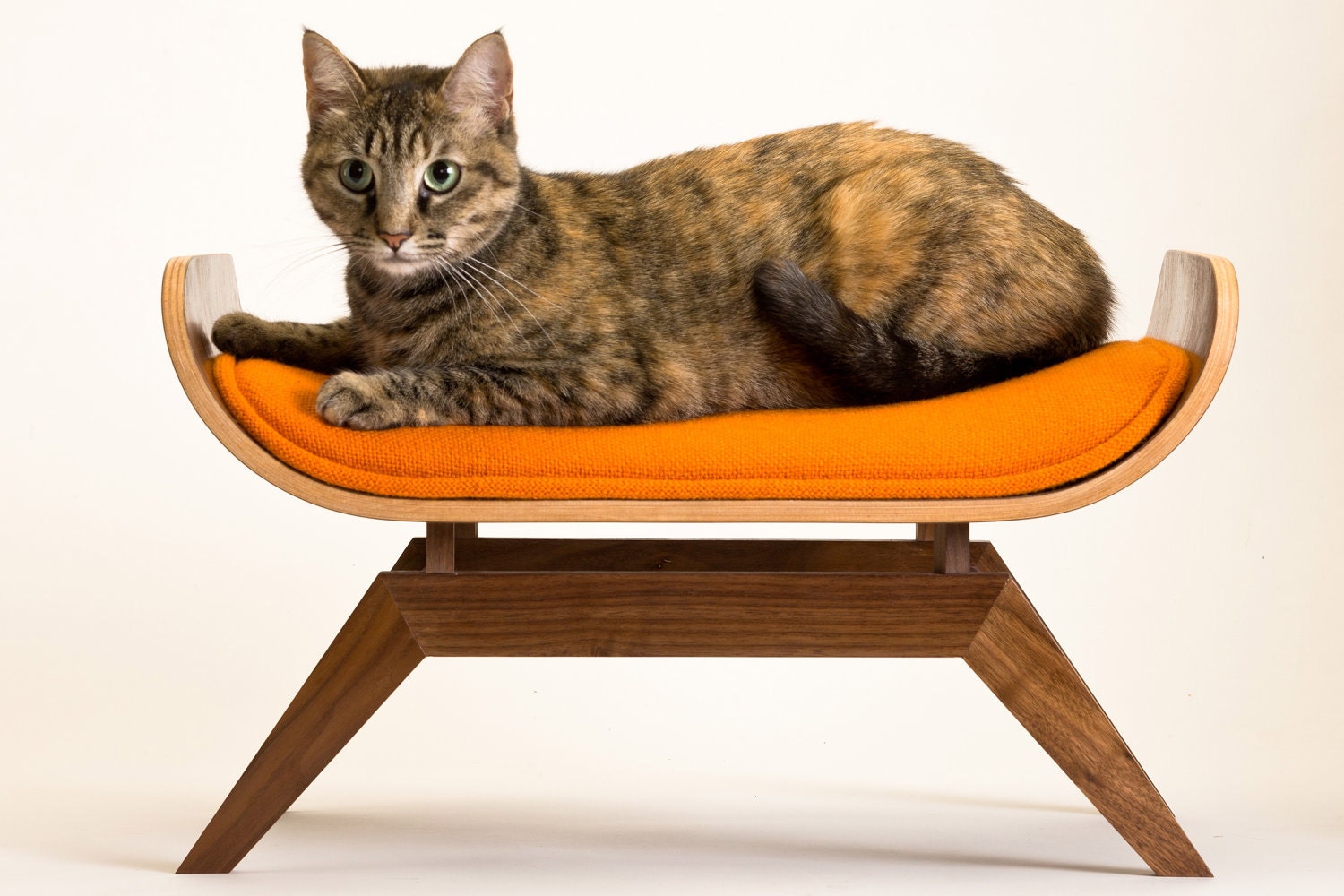 FLASH SALE The Canopy Lounge in Orange