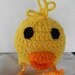 Newborn Duckling Hat