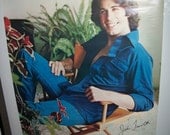 Original Vintage 1978 Movie Star "John Travolta" Poster