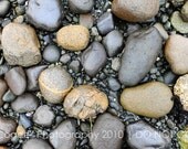 8x12 Fine Art Print - Rocks, Vancouver Island, BC, Canada