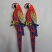 PARROT APPLIQUE