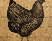 Victorian Hen Farm  Digital Image, Download and Print, Great For Image Transfer on Pillows, Tea Towels and more - Style. 333