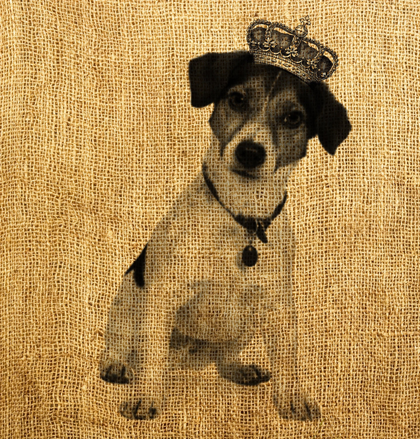 Jack Russell Terrier Puppy with the Crown Digital Image, Great For Image Transfer on Pillows, Tea Towels and more - Style. 212