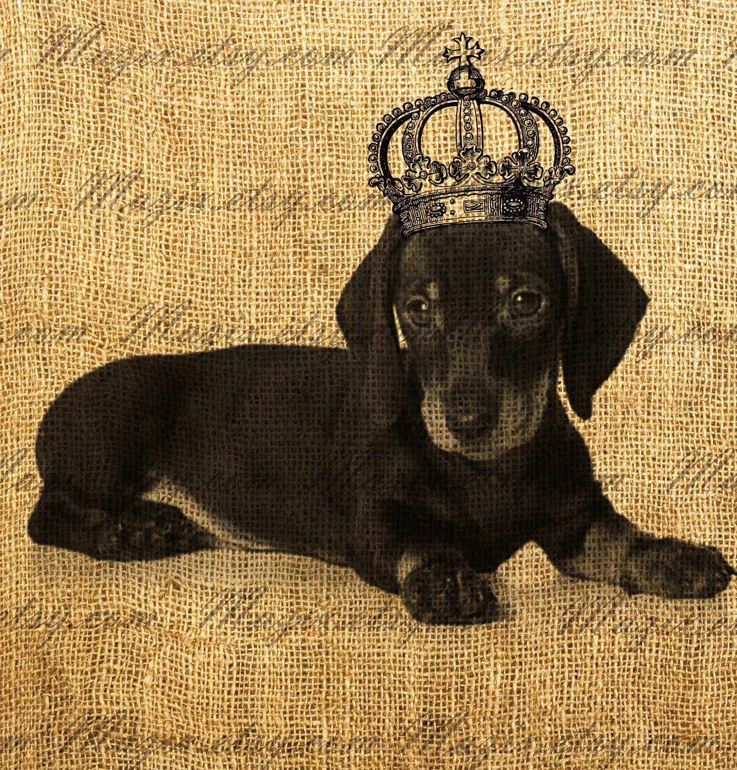 Dachshund Puppy Wearing a Vintage Crown On Digital Image, Great For Image Transfer on Pillows, Tea Towels and more - Style. 275
