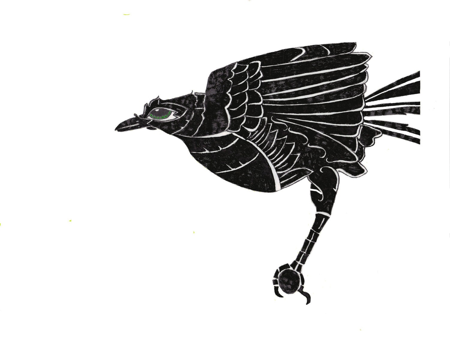 black bird- 5X7 illustration print - NatSmithIllustration