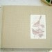 Hand-bound watercolor sketchbook--full cloth with inset bird print