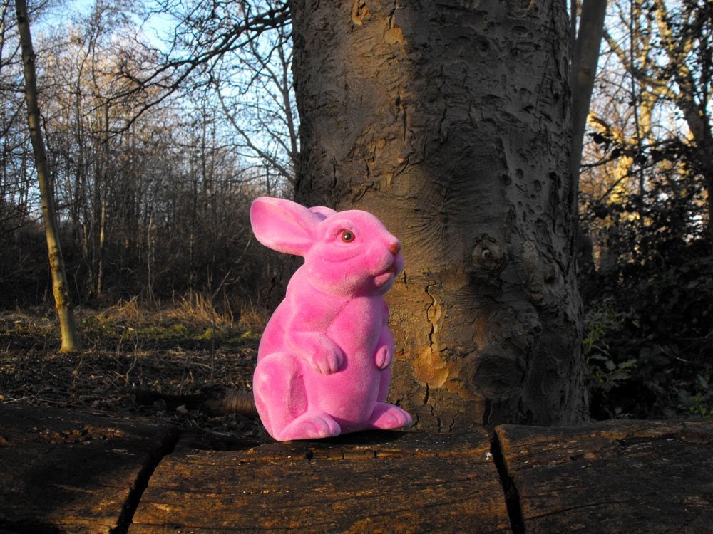 Pink Bunny Rabbit RESERVED for Evelina