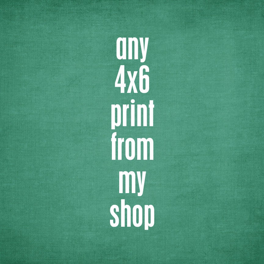One 4x6 print - your choice