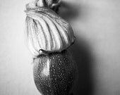 Squash Flower No. 1