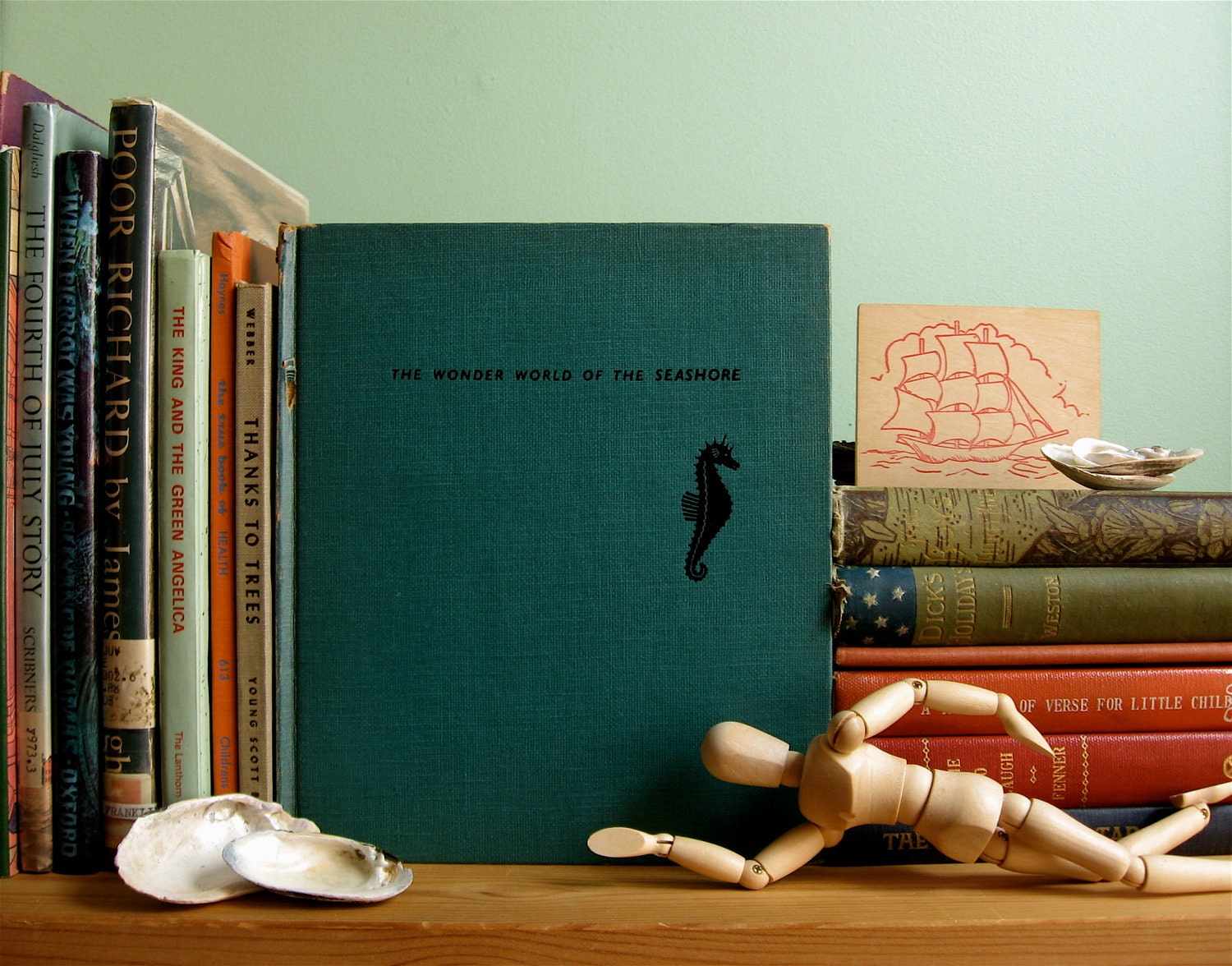 the wonder world of the seashore 1954 by marie neurath vintage book