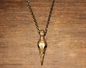 Skull jewelry - Bird necklace - Brass Sparrow skull hangs from chain necklace