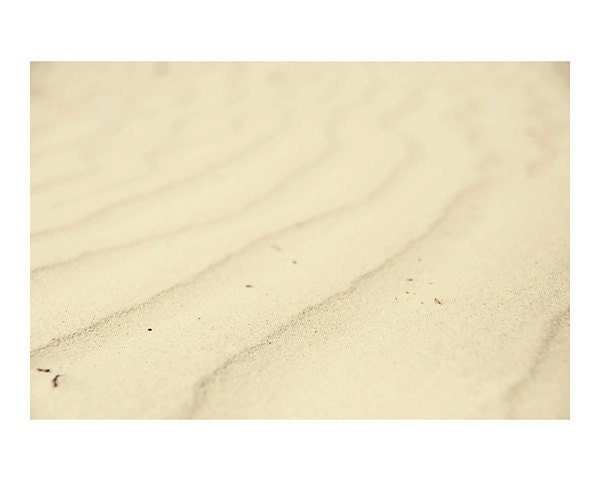 beach sand photograph- original fine art photography, cottage style, ocean, wind, waves, nature, detail - 8x10