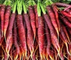 Organic Heirloom Cosmic Purple Carrot Seeds BEST SELLER