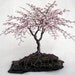 Cherry Blossom Beaded Bonsai Wire Tree Sculpture Bent Trunk Spring Colors - MADE TO ORDER Custom