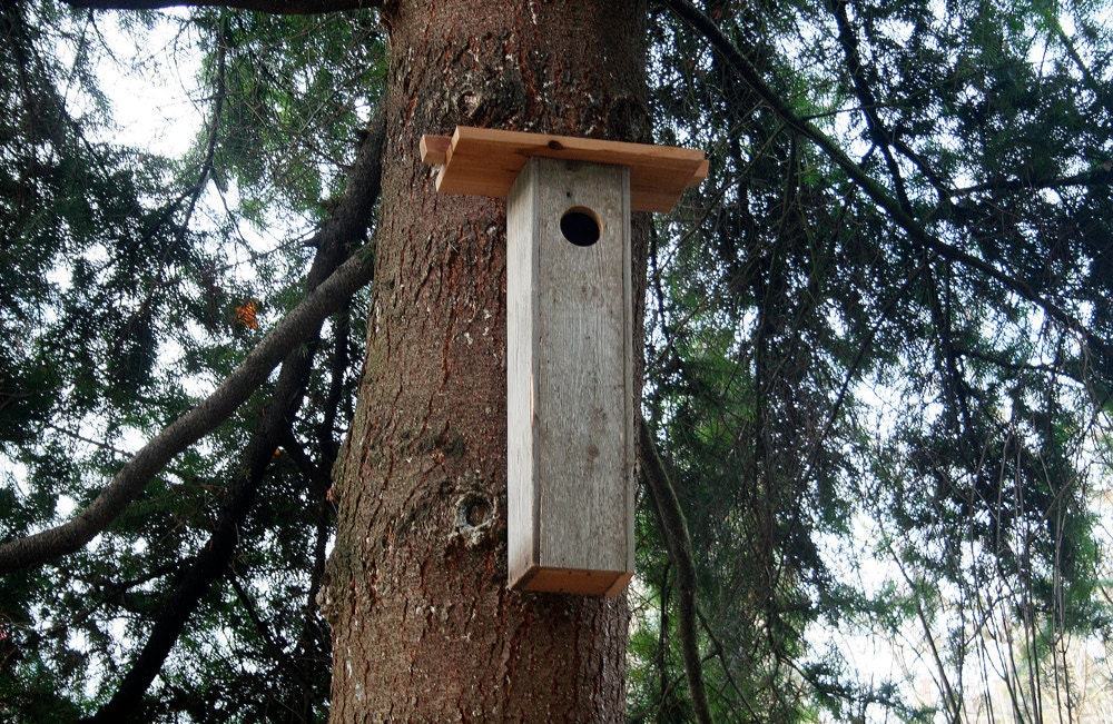 Flicker house, upcycled for woodpeckers with reclaimed western cedar