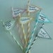60 Pink Stripe & Aqua/Turquoise Stripe Paper Straws w/ Blank Printable Pennants