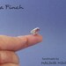 Dollhouse Miniature Feathered Bird - Zebra Finch OOAK