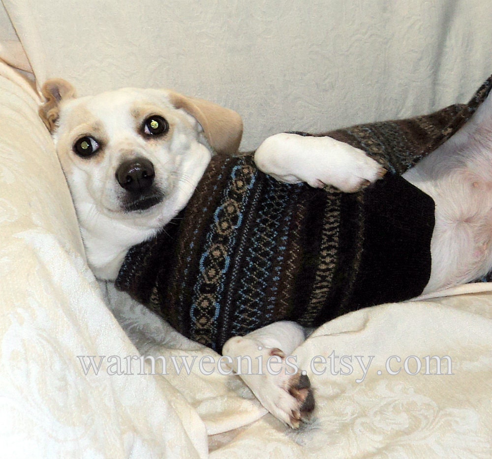 Merino wool dachshund jumper small dog sweater warm felted soft coat