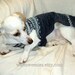 Dachshund sweater jumper blue Fair Isle knit cotton blend