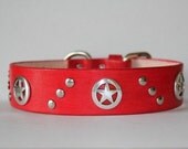 Akita Collar