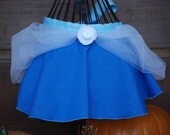 Cinderella Apron