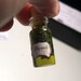 Gillyweed Charm - Wizard Potions Ingredient and Ball Chain