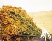 ST. JOHN'S WORT -- Hypericum Perforatum -- Organic Wild Grown Natural Dried Herbs -- Herbal Tea -- 1.2 oz or 35 grams