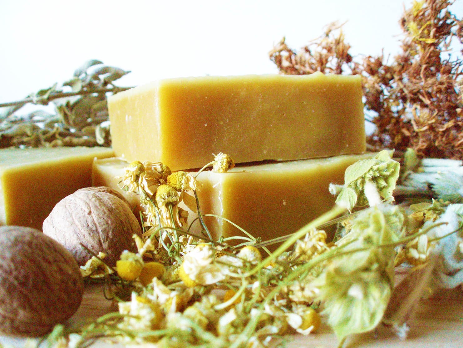 HERBS and SPICES Soap with Aromatic Herbs & Spices -- All Natural Handmade Organic Soap -- Cold process bar soap with Extra Virgin Olive Oil