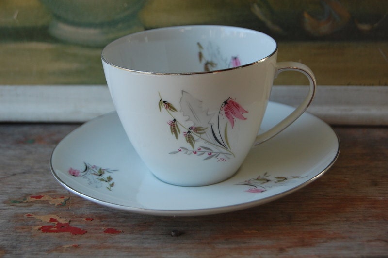 Vintage German Teacup And Saucer By Royal Duchess Mountain Bell Pattern