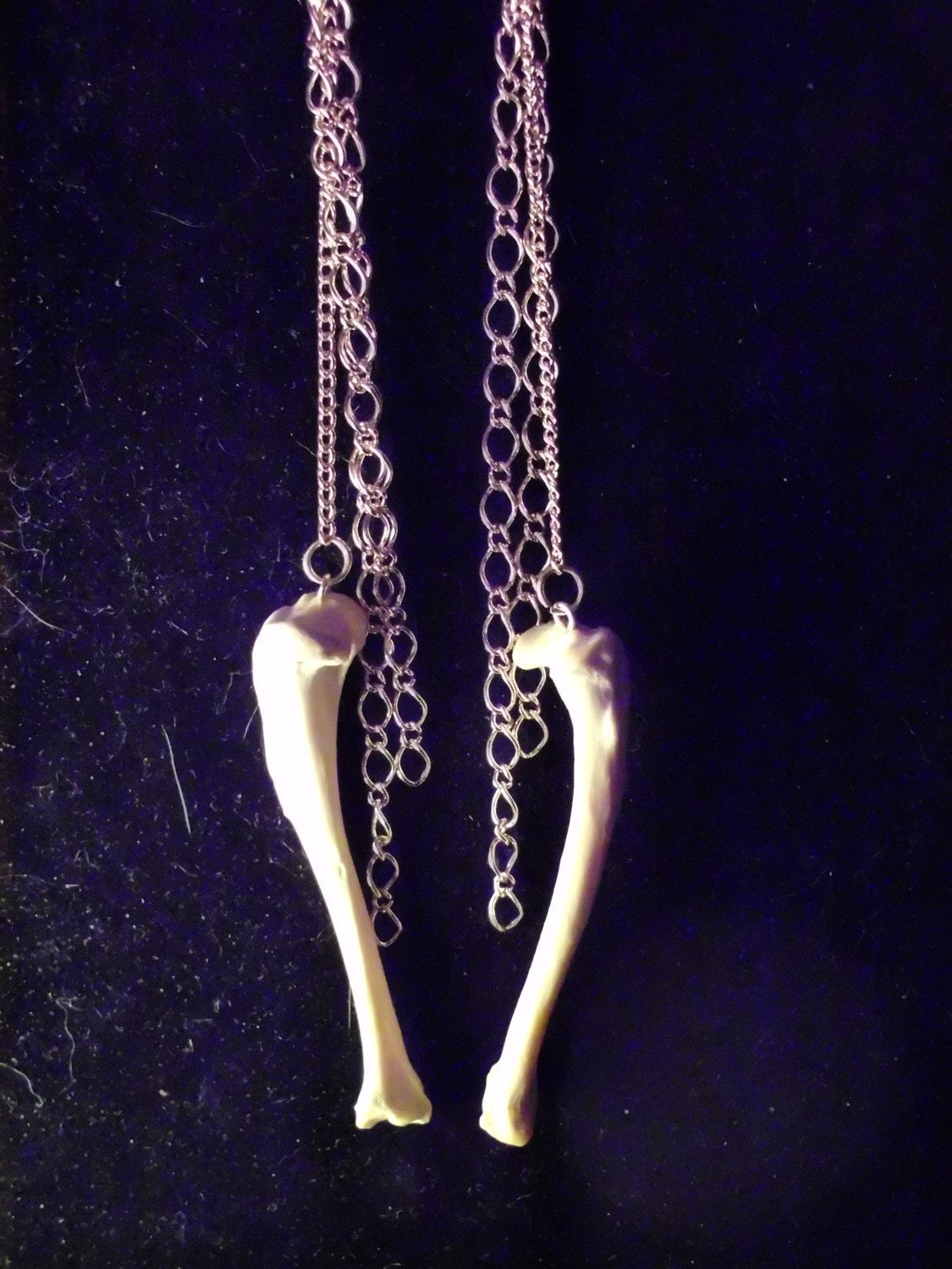 No Bones About It Earrings in gold