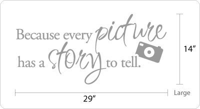 BIG Because every picture has a story to tell. - Vinyl Wall Quote Decal