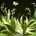 Lilies of the valley - Unique felted pillow cover   16"x16