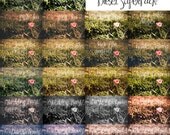 Adobe LR3 CaraRosePhotos Super Pack: 21 of the Best Lightroom Presets (LR3)