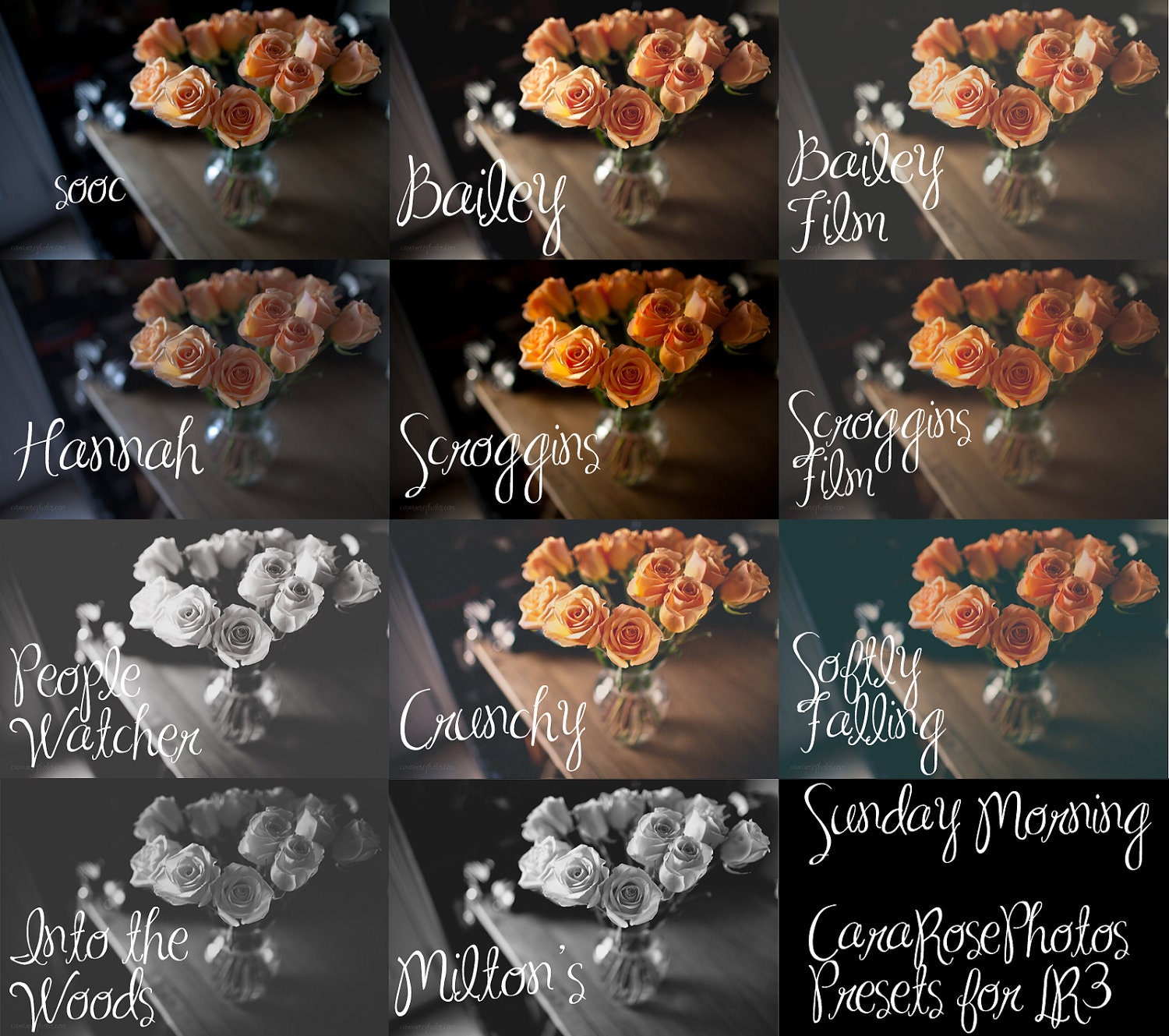 Adobe LR3 Presets: Sunday Morning Presets from CaraRosePhotos, Set of 10 presets for use in Lightroom 3