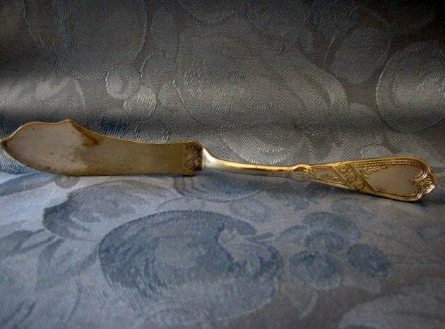Antique Butter Knife Fish Knife Rogers Bros A1 1879 Newport Silverplate
